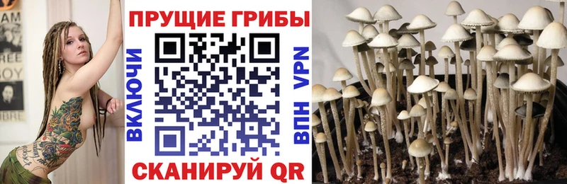 Псилоцибиновые грибы ЛСД  дарнет шоп  Калуга 