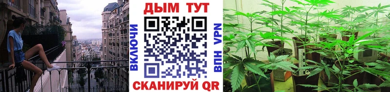 mega как войти  Калуга  Бошки марихуана тримм 